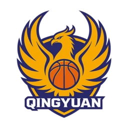 粤BA深圳队